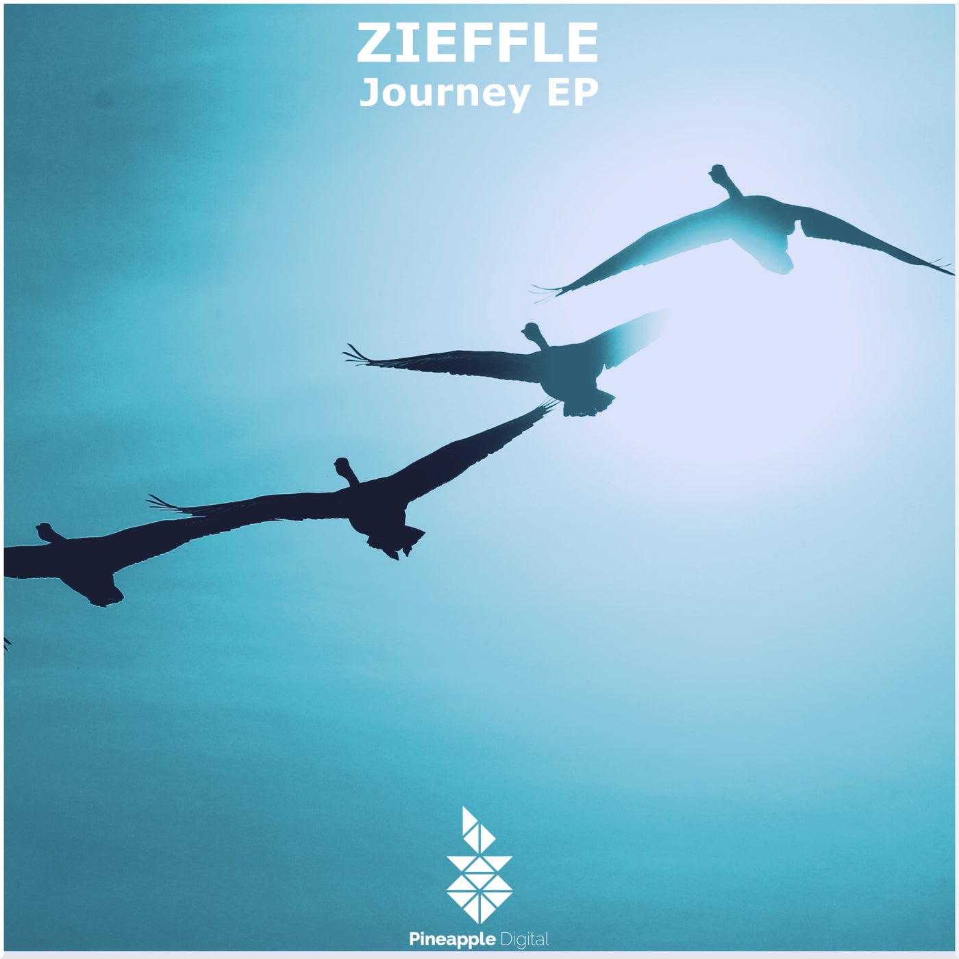 Zieffle – Journey [PD241]